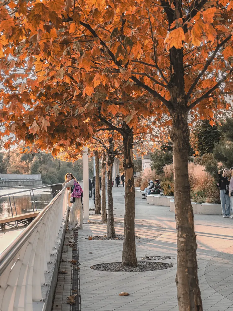 Autumn promenade with orange maple trees, people, and a girl leaning on the waterfront railing.