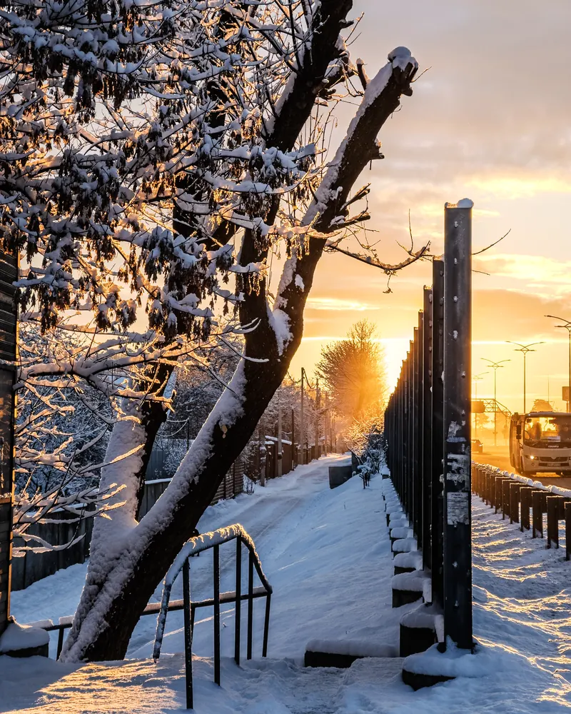 Snowy street at sunset with snow-covered trees and a roadside barrier.